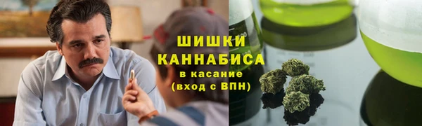 ПСИЛОЦИБИНОВЫЕ ГРИБЫ Абаза