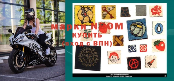 ПСИЛОЦИБИНОВЫЕ ГРИБЫ Абаза