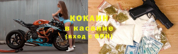 ПСИЛОЦИБИНОВЫЕ ГРИБЫ Абаза